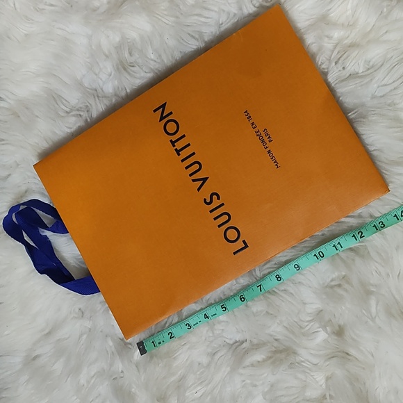 14"X10"X4.5" Louis Vuitton shopping bag - Picture 1 of 3